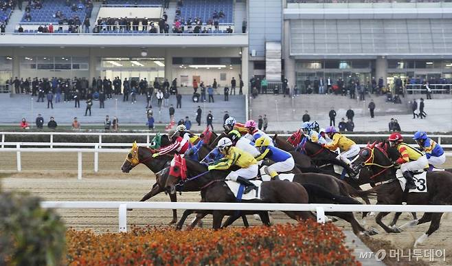 [단독]경마, 24년째 한도 10만원..'일반 5만원·회원 고액베팅' 추진