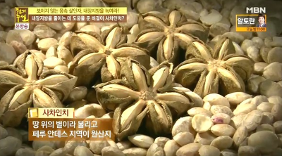 사차인치, 혈당 낮춰주고 체내 인슐린 조절로 당뇨에도 좋아