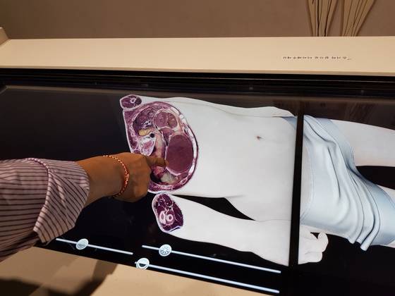 방사선의학관에 있는 인체 해부영상. 황선윤 기자