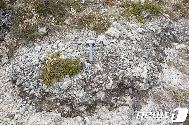 제주특별자치도 세계유산본부는 한라산 백록담 남서쪽 모세왓(모레밭을 말하는 제주어) 일대에 길이 2.3㎞, 폭 500~600m, 두께 2~6m의 규모의 코멘다이트(comendite)로 분류되는 암석을 처음으로 확인했다고 20일 밝혔다. 코멘다이트라는 암석 명칭은 이탈리아의 산 피에트로섬(San Pietro Island)의 ‘리 코멘데’지역에 분포하는 알칼리 유문암에서 유래한 암석명이다. 지금까지 한반도에서는 백두산에만 분포하는 것으로 확인돼 왔던 암석이 처음으로 한라산 고지역에도 분포하는 것으로 확인된 것이라는 게 세계유산본부의 설명이다. 사진은 모세왓 일대 침식부에 드러난 코멘다이트질 각력암 노두 전경이며 두께가 약 6m에 이른다. © News1 고경호 기자