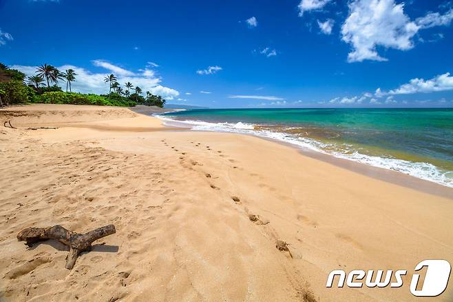 노스쇼어. 참좋은여행 제공.© News1