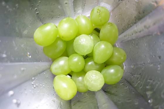 청포도 스무디를 만들고 있다. 씨 없는 청포도에 청포도 맛이 나는 사탕 2개가 들어갔다. 포도 알은 갸름한데 동그랗기만 한 2개가 사탕이다.