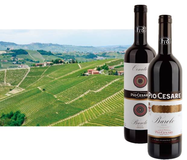 피오 체사레가 보유하고 있는 오르나토 포도밭과 오르나토 싱글 빈야드 바롤로, 피오 체사레를 대표하는 바롤로 DOCG 와인(왼쪽부터).[사진 제공 · 씨에스알와인㈜]