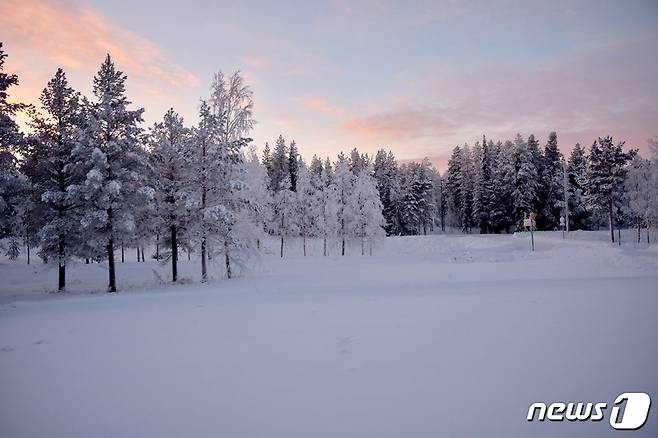 진짜 트리들을 볼 수 있는 레비© News1 윤슬빈 기자