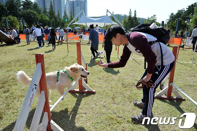 올해 열린 성남 반려동물 페스티벌(성남시 제공)© News1