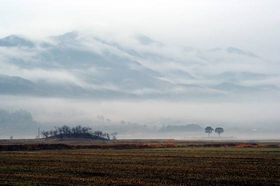 드넓은 들판이나 초원은 화의 기운을 빼준다. [사진 김순근]