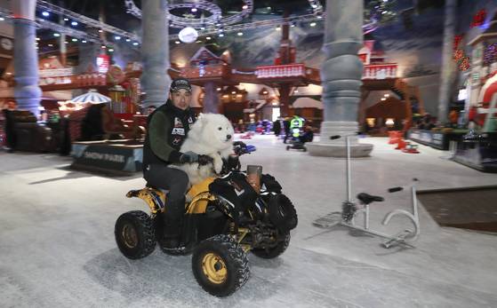 조균우 대표와 썰매개 코난(3)이 11일 경기도 원마운트 스노우파크에서 4륜 오토바이를 타고 개썰매가 달리는 길의 안전시설을 점검하고 있다. 임현동 기자