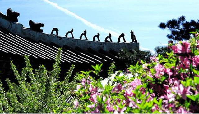 ▲교태전 지붕Ⓒ경복궁