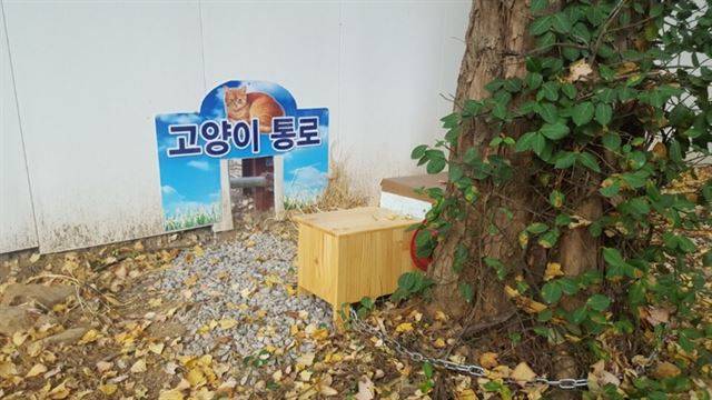 대우건설이 지난 11월 과천주공1단지 재건축 공사 현장에 길고양이를 위한 통로를 설치했다. 길고양이 커뮤니티 '고양이발자국' 블로그