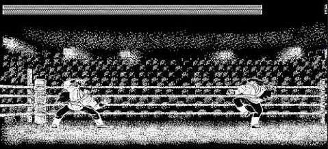 호랑이의 분노2