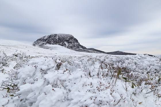 겨울 한라산의 문턱은 의외로 낮다. 등산 초보라도 영실 코스를 따라 한라산에 오르면 윗세오름과 분화벽을 눈에 담을 수 있다. 분화벽 안에 백록담이 있다.