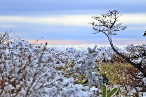 흰 눈과 흰 구름을 발 아래 두는 눈꽃 트레킹.