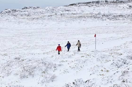 윗세오름 부근은 힘들 것이 없는 평탄한 길이다.