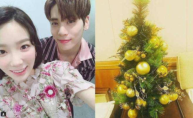 앵콜 무대 후 항상 태연 곁을 지키던 미니 트리는 故 샤이니 종현이 선물한 것이었다. (사진=태연 인스타그램)