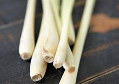 /김지아 헬스조선 기자