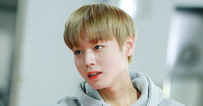 [사진 워너원 네이버포스트]