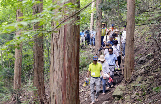 한국산림아카데미 산림최고경영자(CEO)과정 교육생들이 전남 장성 편백치유의 숲을 찾아 현장학습을 하고 있다. 프리랜서 김성태
