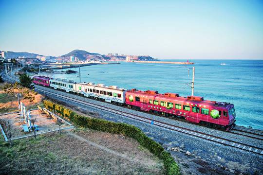 강원도 강릉 정동진역에서 삼척역까지 운행하는 바다열차. 눈이 시리게 끝없이 펼쳐지는 그림 같은 바다 풍경이 낭만과 추억을 떠올리게 한다.