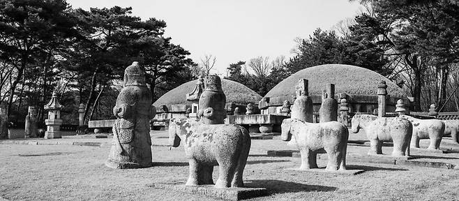 서울 강남에 있는 태종과 원경왕후의 헌릉. 태종은 후계자를 놓고 큰 고민을 해야 했다.
