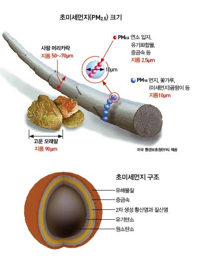 초미세먼지 크기와 구조. - 과학동아 2013년 5월호 제공