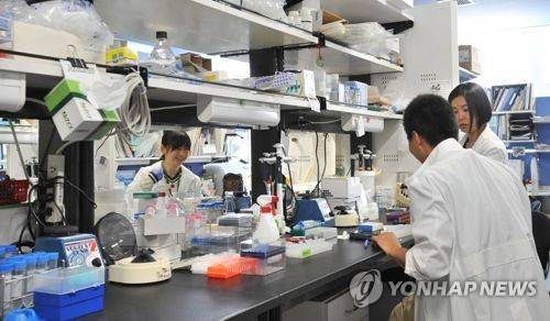 iPS세포(인공만능줄기세포)연구소 연구실 [교토 교도=연합뉴스 자료사진] 노벨상을 수상한 야마나카 신야 교수가 소장을 맡은 교토대 iPS세포연구소 연구실의 2012년 모습.