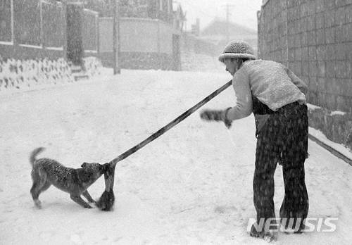 【서울=뉴시스】조수정 기자 = 박신흥 '개네동네' 중 해피야그만놔.