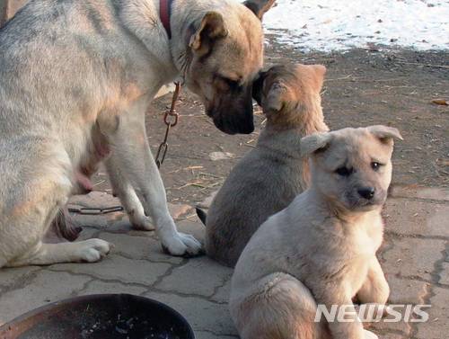【서울=뉴시스】조수정 기자 = 박신흥 '개네동네' 중 가엾은 막내.