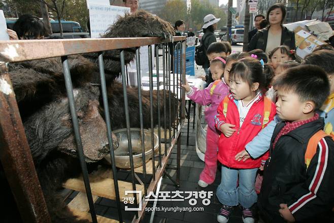 녹색연합이 서울 인사동에서 반달곰 쓸개즙 채취 장면을 모형으로 재현하자 어린이들이 놀란 눈으로 바라보고 있다. 경향신문 자료사진