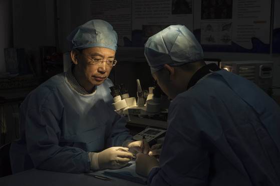 중국 하얼빈의과대 렌 샤오핑 교수는 카나베로 교수와 함께 인간 머리 이식수술인 '헤븐 프로젝트'를 주도하고 있다.