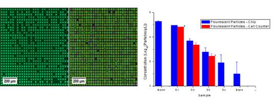 서강대학교(총장 박종구)는 기계공학과 정봉근 교수 연구팀이 더 빠르고 정확하게 질병을 진단할 수 있는 기술을 개발했다고 13일 밝혔다. 정 교수팀은 푸아송 확률분포를 이용해 마이크로웰 어레이칩에 있는 입자, 세포, 그리고 박테리아 숫자를 보다 빠르고 정확하게 측정하는 기술을 활용해 새로운 진단법을 개발했다. 연구 결과는 세계적 학술지인 네이처의 자매지 '사이언티픽 리포트'(Scientific Reports)'에 2월 5일 자에 실렸다. 왼쪽 사진은 마이크로웰 어레이칩 안에 샘플 유무를 알고리즘을 통해 식별한 이미지이고 오른쪽 그래프는 마이크로웰 어레이칩과 기존의 상업적 장비의 입자수 비교분석 그래프다. 서강대 제공