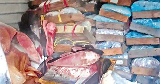 2016년 울산 경찰이 압수한 40억원 상당의 고래고기 27t. [연합뉴스]