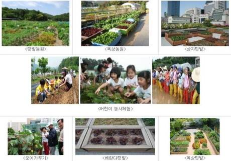 서울농업기술센터는 다양한 농업 관련 체험학습을 진행한다. /서울농업기술센터 제공