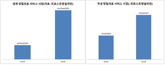 국내외 정밀의료 서비스 시장 규모