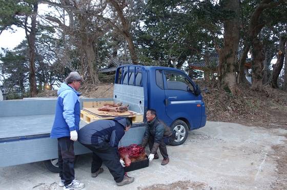 넙도 내리 이장이 당제 제물로 쓸 소 머리와 4개의 족을 유사들에게 전달하고 있다.