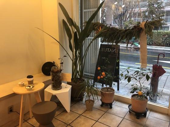 젠제로의 정원. 식물 디자이너 원안나씨가 큐레이팅한 공간이다.