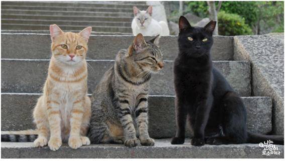 출처: 네이버 영화