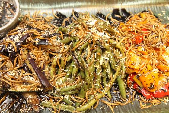 고소애 덩어리가 보이는 무침. [사진 예천군.예천곤충연구소]