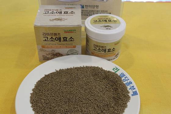 고소애 효소. [사진 예천군.예천곤충연구소]
