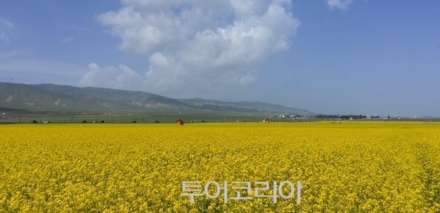 ▲ 칭하이호(靑海湖) ⓒ중국국가여유국 서울지국