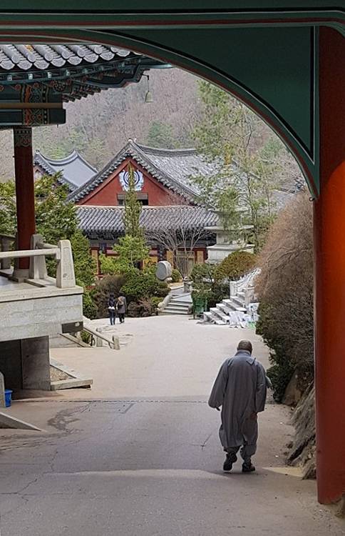 산문 나서는 스님.(성연재 기자)