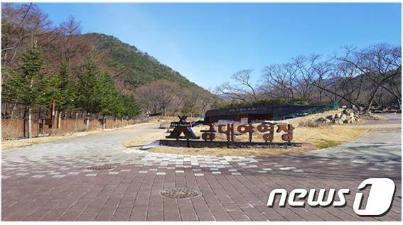금대에코힐링캠핑장(치악산국립공원사무소 제공)© News1