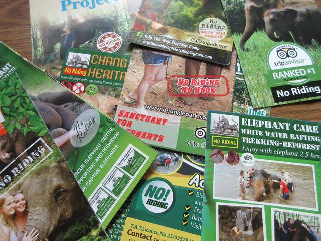 코끼리에 직접 타지 않는 관광상품임을 알리는 태국 치앙마이 코끼리 관광 팸플릿들.  관광객들이 코끼리를 타는 것이 학대를 전제로 하고 있다는 것을 알고 외면하자 발 빠른 사업 전환을 한 모양새다.