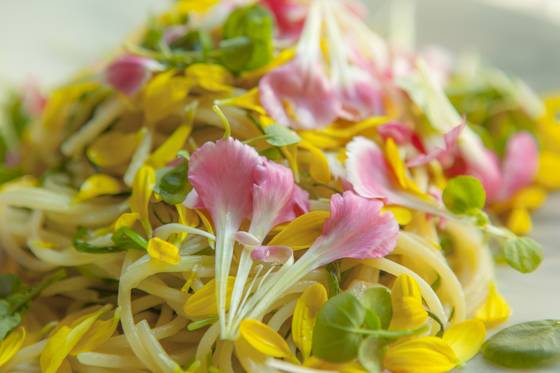 식용꽃의 잎을 하나씩 분리해 흩뿌려주듯 파스타 위에 올렸다. 전유민 인턴기자