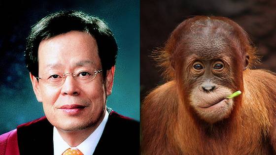 목영준 전 헌법재판관은 오랑우탄 상이다.[사진 백재권]
