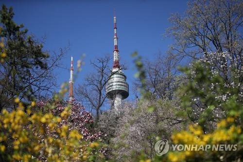 종합 '봄' 선물세트 (서울=연합뉴스) 박동주 기자 = 서울지역 미세먼지와 초미세먼지 농도가 전날 내린 봄비와 강한 바람으로 보통을 기록한 11일 오후 봄꽃과 N서울타워 뒤로 보이는 서울 하늘이 푸르다. 2018.4.11      pdj6635@yna.co.kr