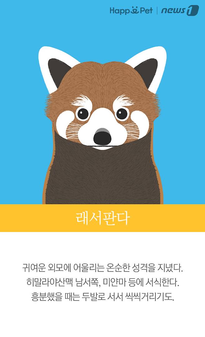 래서판다(랫서팬더)