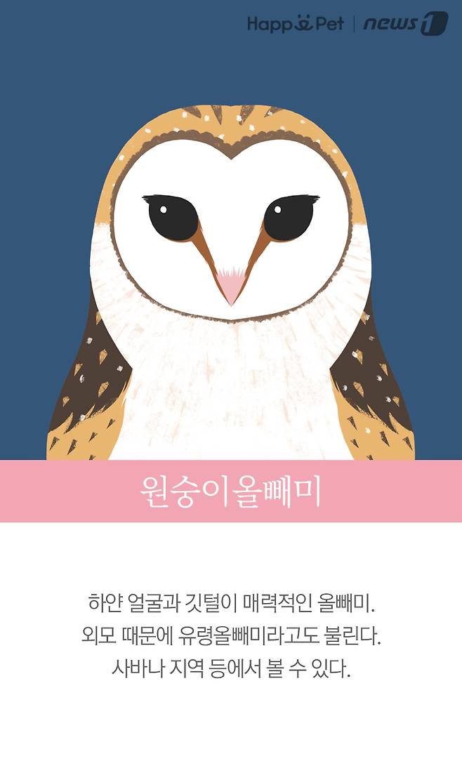 원숭이올빼미