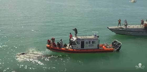 멕시코 캘리포니아만에서 불법 조업을 단속하는 미국 환경단체 시셰퍼드(Sea Shepherd)와 멕시코 해경. [유튜브 캡처]