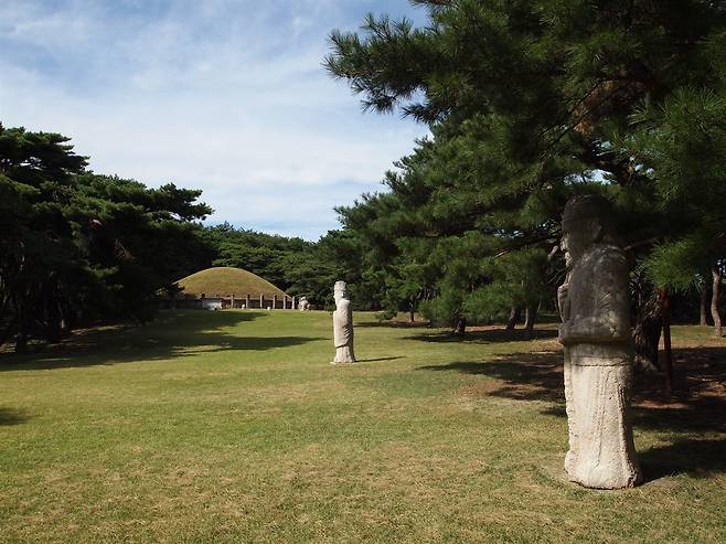 호인상에서 바라본 흥덕왕릉의 전경 ⓒ김희태