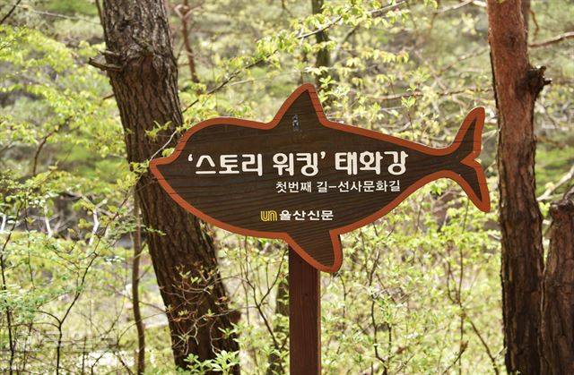 천전리각석에서 반구대암각화까지는 ‘선사문화길’로 연결돼 있다.